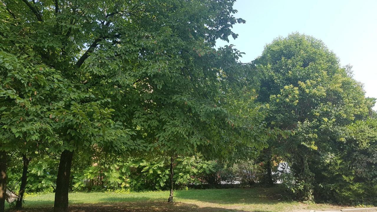 La Magnolia Apartments Violet ديسينسانو ديل غاردا المظهر الخارجي الصورة